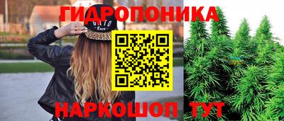 хмурый Новокубанск
