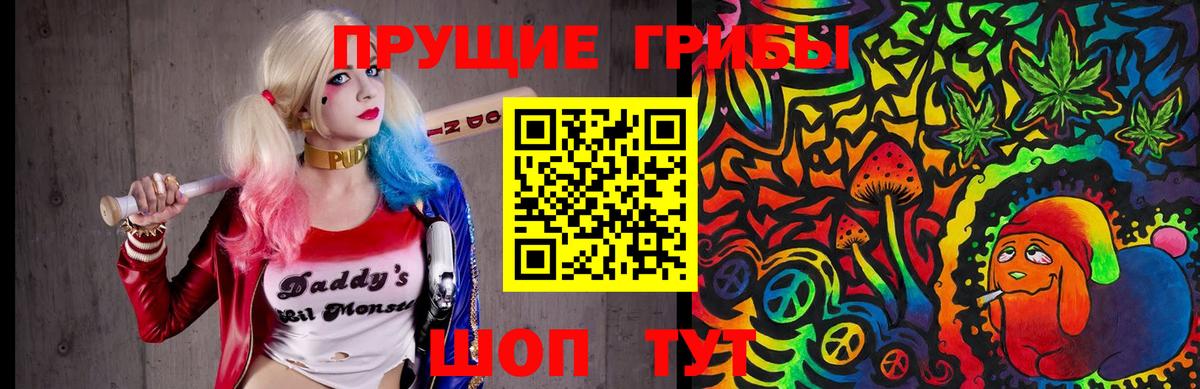 Галлюциногенные грибы Cubensis Сокол