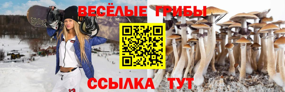 Сокол  Галлюциногенные грибы Magic Shrooms  Вход с VPN  Галлюциногенные грибы Magic Shrooms 